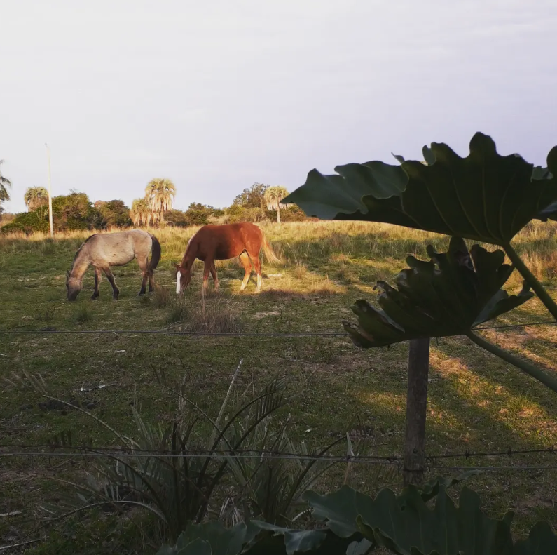 Atardecer en Chavarría