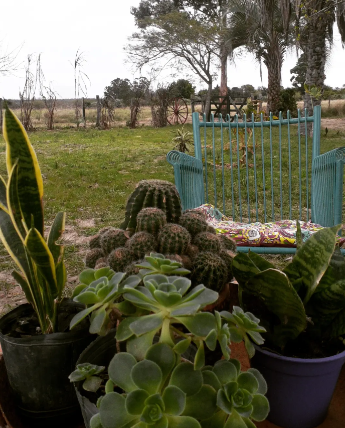 Paisaje rural